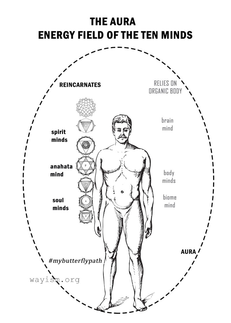 caminismo las 10 mentes y el cuerpo energético