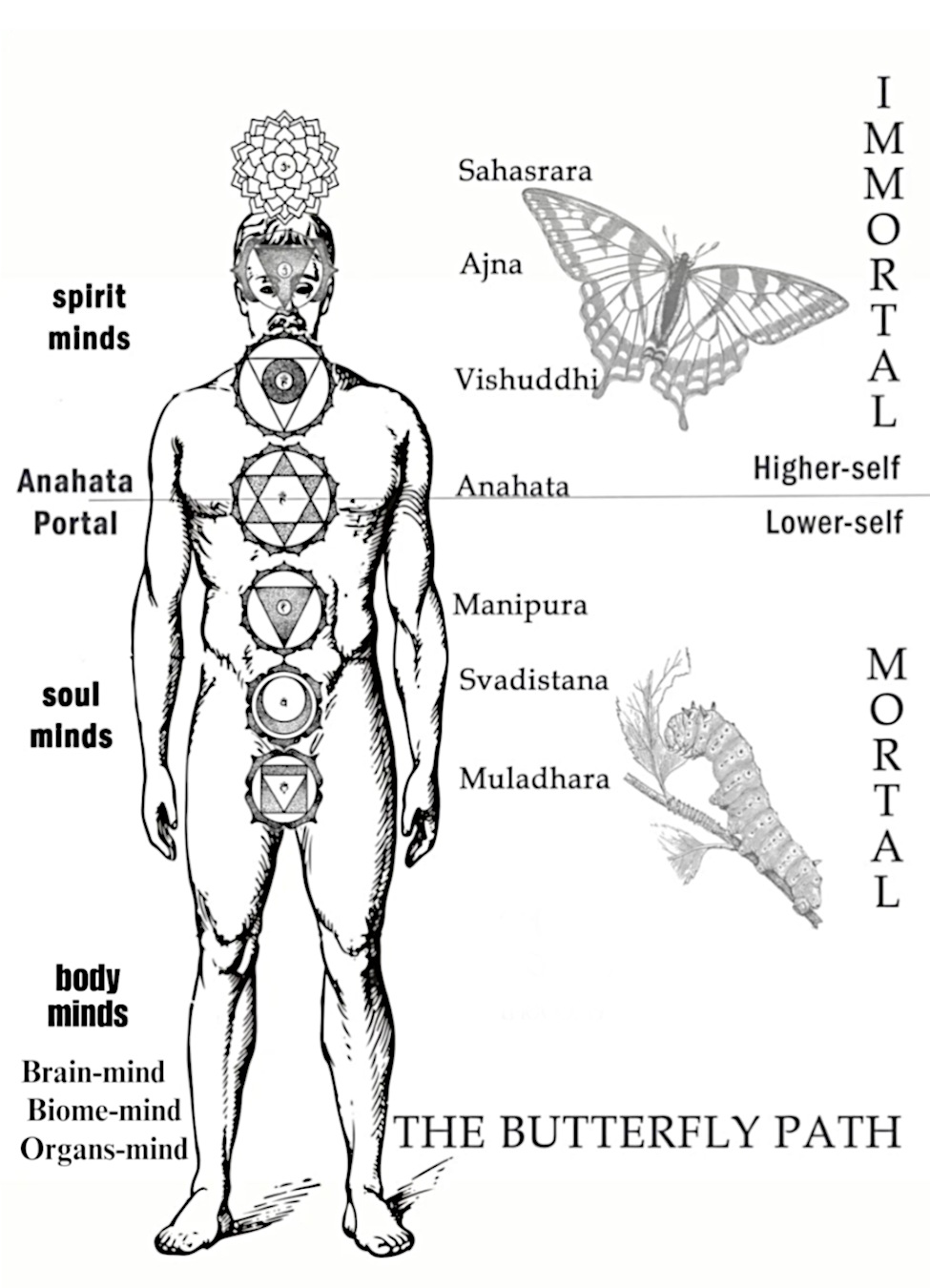 Diagrama del ser híbrido mostrando las diez mentes